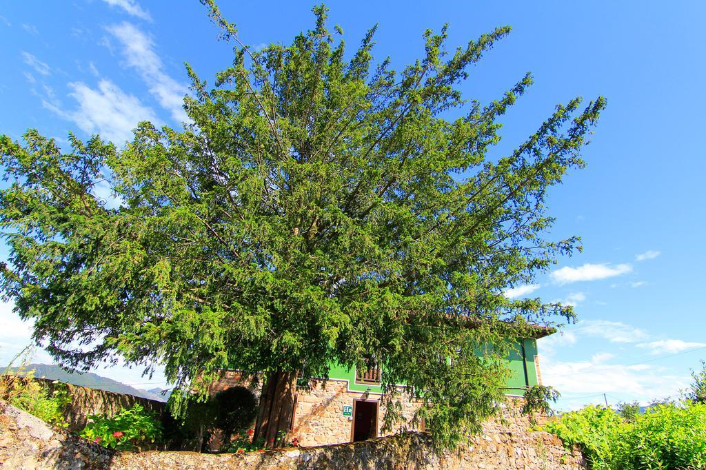 Hotel Rural Cuadroveña エクステリア 写真